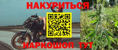 Альфа ПВП Ставрополь