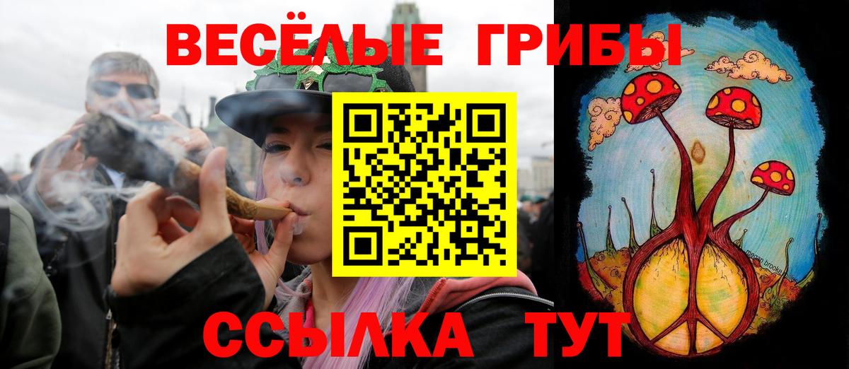 Галлюциногенные грибы мухоморы  Вход с VPN  Ливны  Псилоцибиновые грибы Cubensis 